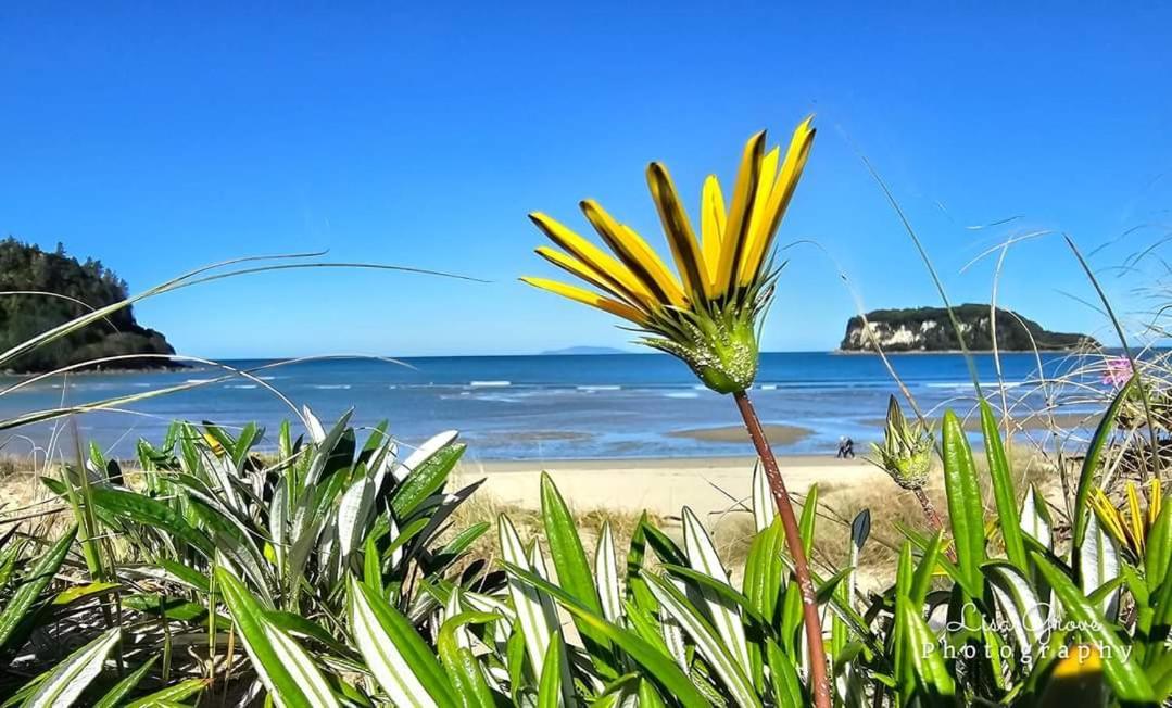 Southpacific Motel Whangamata Luaran gambar